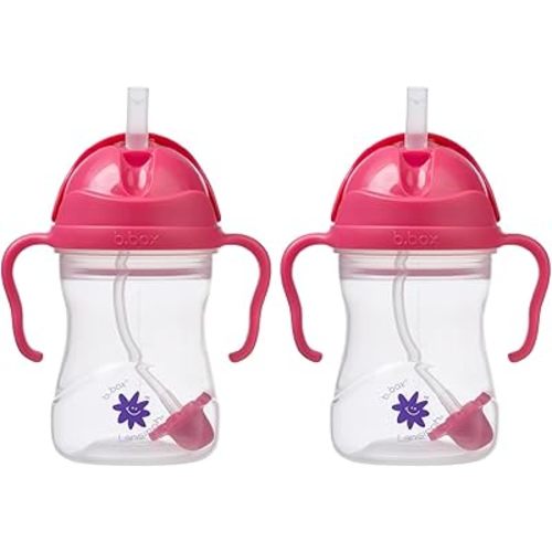 b.box + Lansinoh Weighted Straw Sippy Cup for Babies 6 Months+ | Leak‑Proof, BPA‑Free, 8 oz Toddler Cup | Drink From Any Angle | Easy Grip, Dishwasher Safe | Raspberry (Pack of 2)