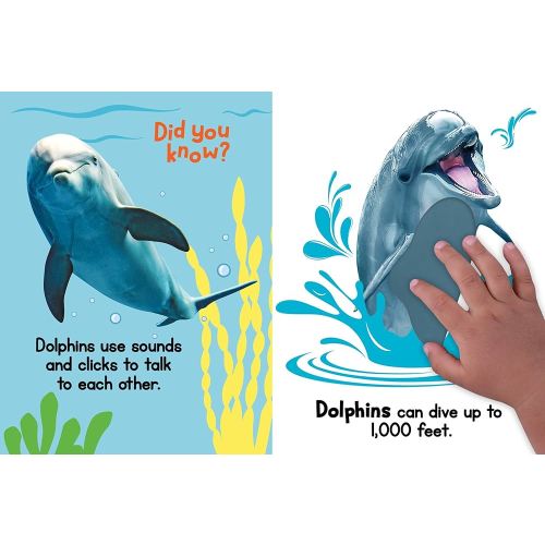 Ocean Friends - Touch and Feel Board Book - Sensory Board Book