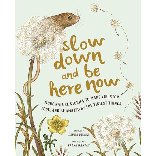 Picture Book: Slow Down and Be Here Now