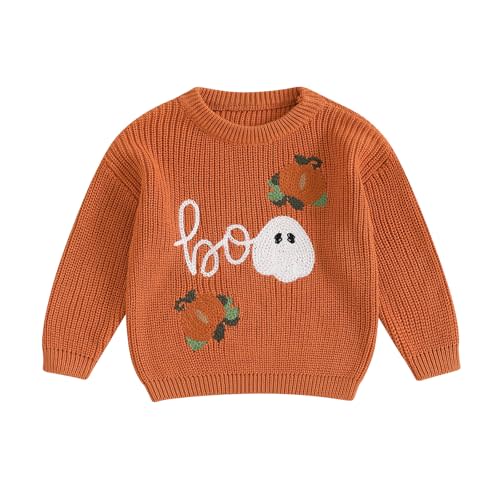Baby Halloween Sweater Pumpkin Print Long Sleeve Crewneck Embroidery Knit Sweatshirt Toddler Fall Winter Pullover