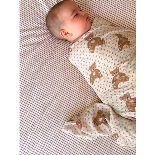 Teddy Bear Picnic // Swaddle