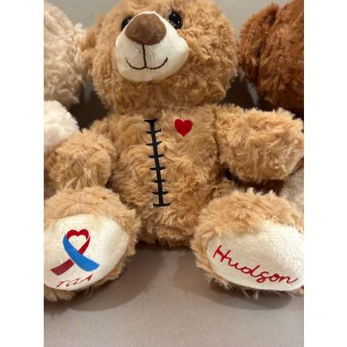CHD Heart Warrior Bear: Comforting Companion for Children's Journeys
