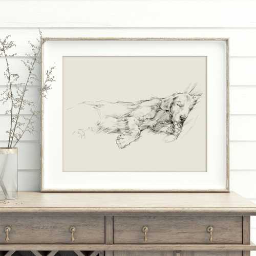 Golden Retriever Art Print by Ethan Harper – Elegant Dog Sketch Home Decor, Pet Portrait Wall Art, Gift for Dog Lovers