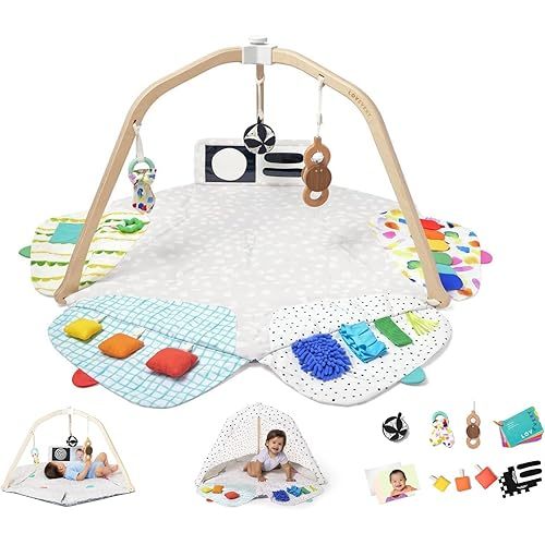 LOVEVERY The Play Gym & Mat