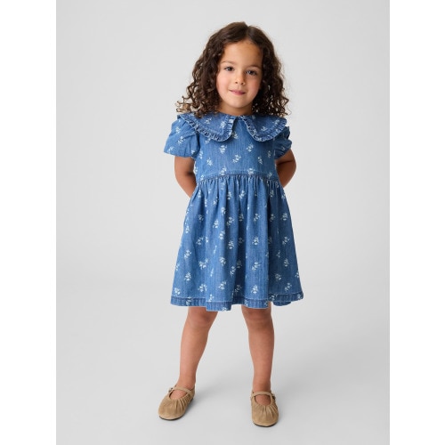 Baby & Toddler Denim Collared Floral Dress