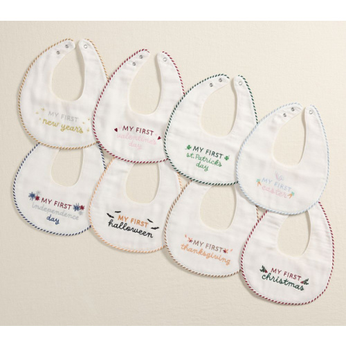 Baby's First Milestone Bibs