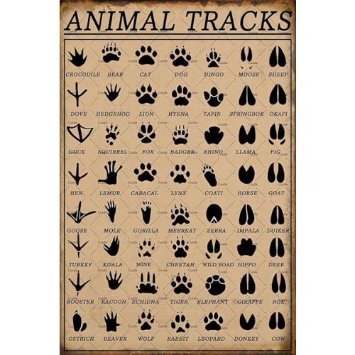 Cusde Animal Tracks Sign Vintage Nursery Metal Tin Sign Funny Hunting Decor Cabin Decor Gifts For Animal Lovers 8x12 Inch