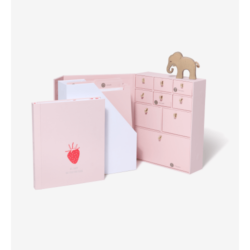 Memory Bundle Pink