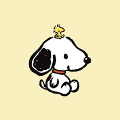 529 college savings fund