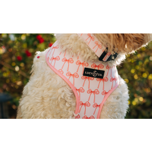 The Cupid's Crush Pink Ombre Hands-Free Rope Dog Leash – Lucy & Co.
