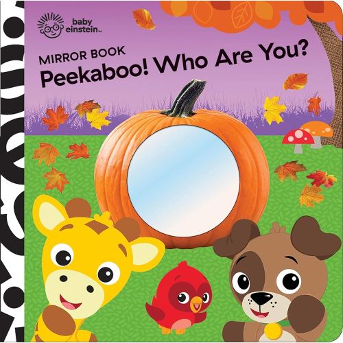 Baby Einstein: Peekaboo! Who Are You? Mirror Book