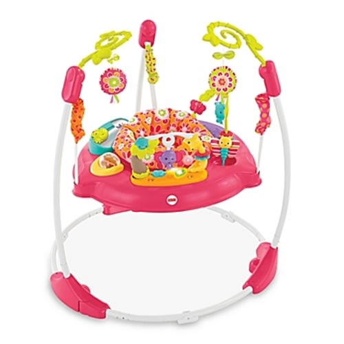 Fisher-Price® Pink Petals Jumperoo™