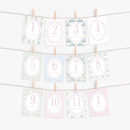 Printed Girl Floral Milestone Cards, Gingham and Ribbon Baby Monthly Keepsake Cards, Baby Shower Gift