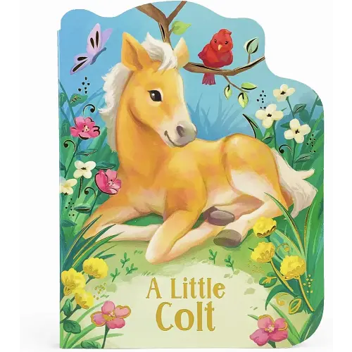 A Little Colt: A Baby Horse Board Book Story