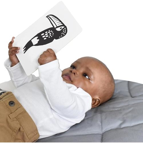 Wee Gallery Art Cards for Baby, Durable High Contrast Black and White Animal Flashcards for Newborns, Brain Development, Sensory Toys, Tummy Time Essentials for Infant and Toddler - Rainforest Animals