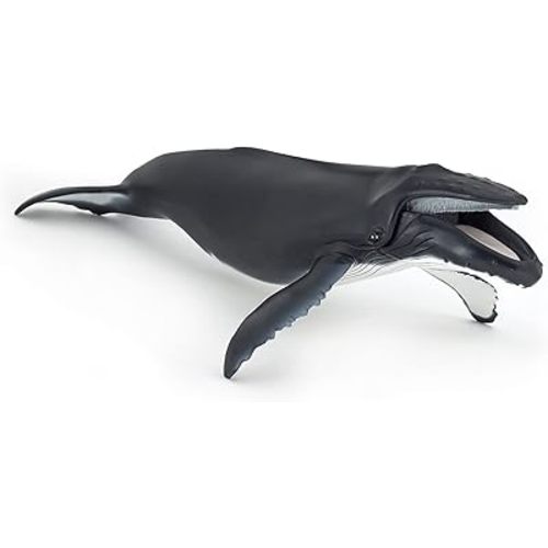 Papo - Hand-Painted - Figurine - Marine Life - Humpback Whale Figure-56001 - Collectible - for Children - Suitable for Boys and Girls - from 3 Years Old