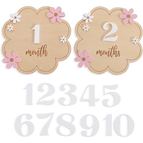 2pcs Pink White Daisy 1 to 12 Months Milestone Board