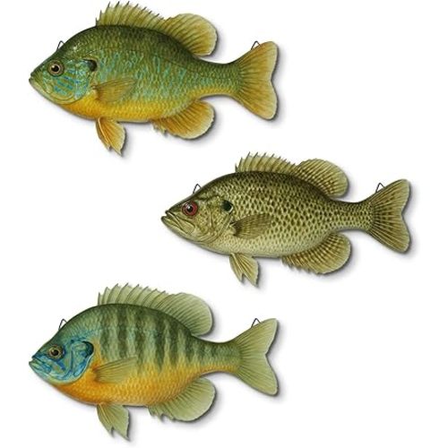 Putuo Decor 3 Pcs Beach Wooden Fish Wall Decor Coastal Hanging Wall Art Ocean Style Decoration for Fishing Lodge Bathroom Lake House