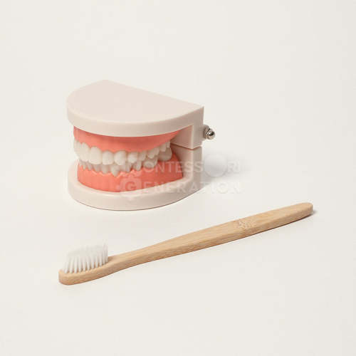 Montessori Brushing Teeth - Improve Your Brushing Technique!