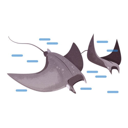 Aquarium Annual Gift Membership