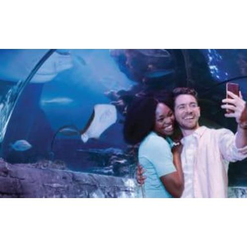 SEA LIFE Minnesota - Package Details