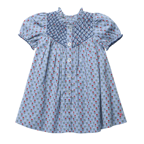 Girls Lucia Dress - Light Blue Carnation – Pink Chicken
