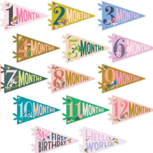 Little Artist Petit Milestone Pennants – Lucy Darling