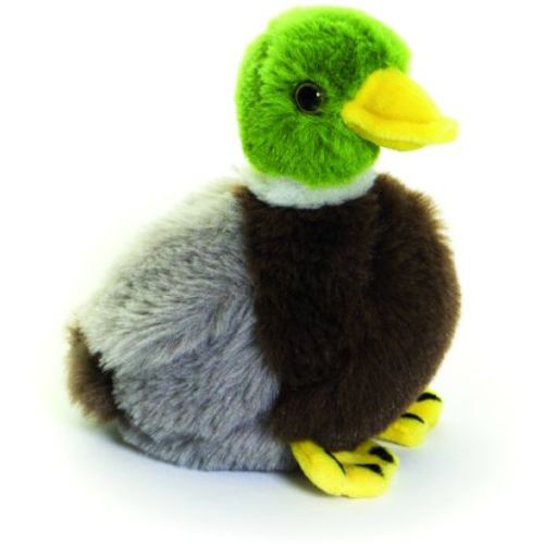 Living Nature Mallard Duck