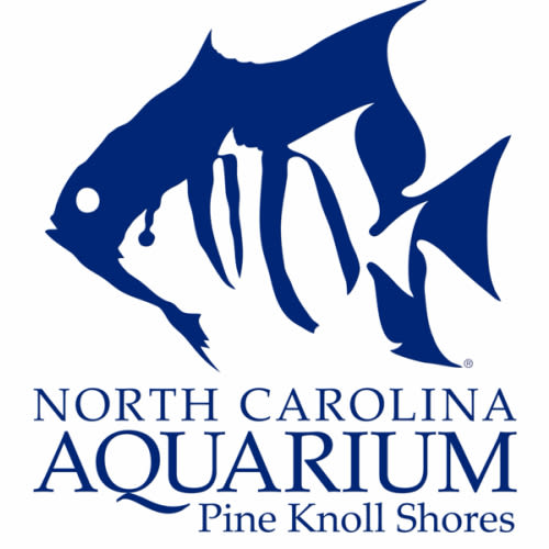 Family Trip to the Aquarium