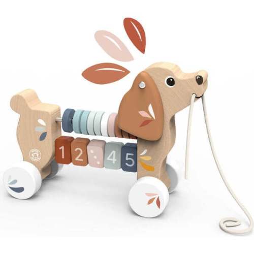 Puppy Pull Along - Speedy Monkey | Maisonette