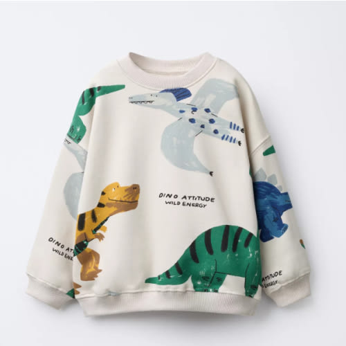 DINOSAUR PRINT SWEATSHIRT - Ice | ZARA United States