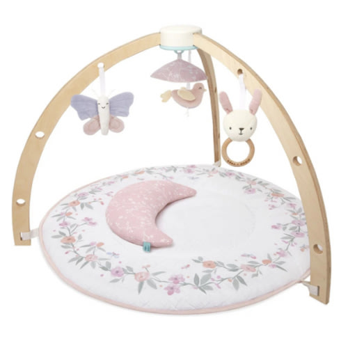 Baby Gym | Premium Baby Activity Gym | aden + anais