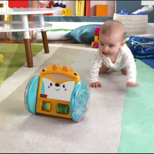 Fisher-Price Play & Crawl Hedgehog Mirror, Tummy Time & Crawling Toy