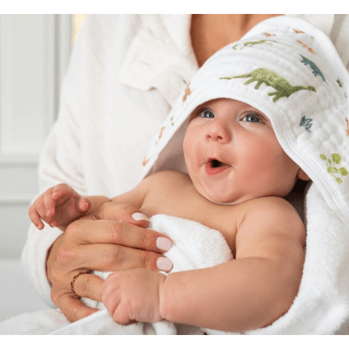 Dino Jungle Cotton Muslin Hooded Towel 2 Pack | aden + anais