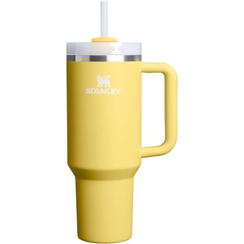 STANLEY Quencher H2.0 Tumbler with Handle and Straw 40 oz | Flowstate 3-Position Lid | Cup Holder Compatible for Travel | Insulated Stainless Steel Cup | BPA-Free | Daffodil
