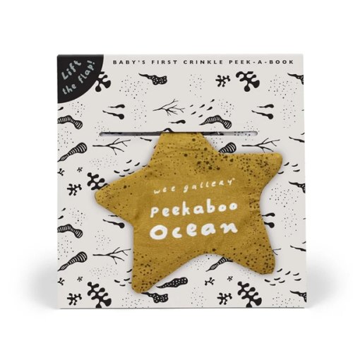 Peekaboo Ocean: Baby's First Crinkle Peek-A-Book