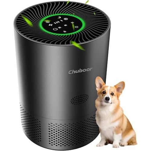 Air Purifiers for Home Large Rooms, H13 True HEPA Air Purifiers for Bedroom Dorm Room Pets or Smoke, Dust, Pollen, Odors, Auto Mode, Sleep Mode, PJ01, White