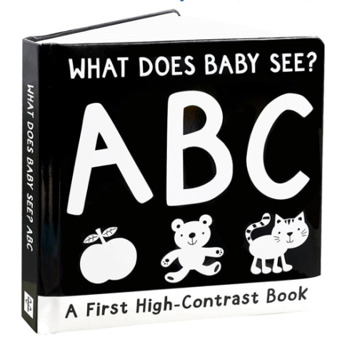 What Does Baby See? ABCs: A First High-Contrast Board Book