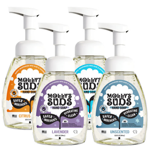 Foaming Hand Soap – Molly’s Suds