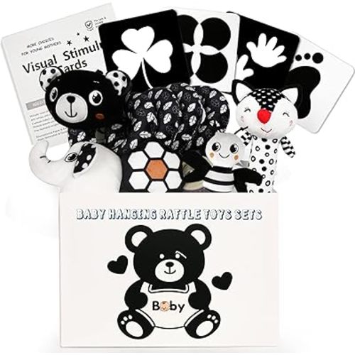TSYAN High Contrast Baby Toys for Babies 0-6 Months, Black and White Baby Sensory Toys with Car Seat Toys,Infant Toys with Black White Cards Book, Montessori Toys for Baby Gifts