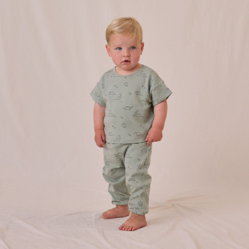 Dino Tee + Pant Set