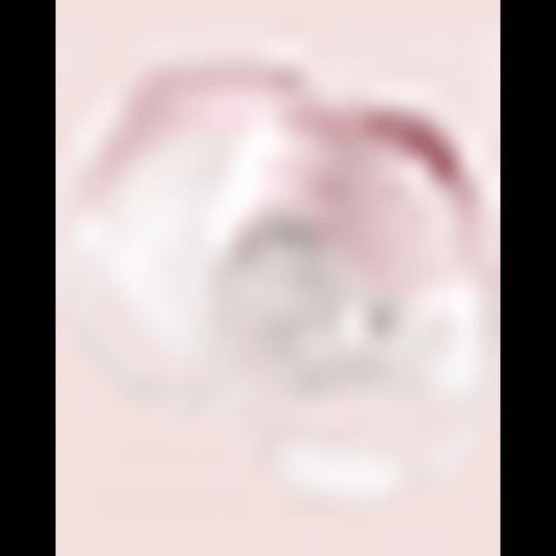 Your Shopping Cart – KISSBOBO