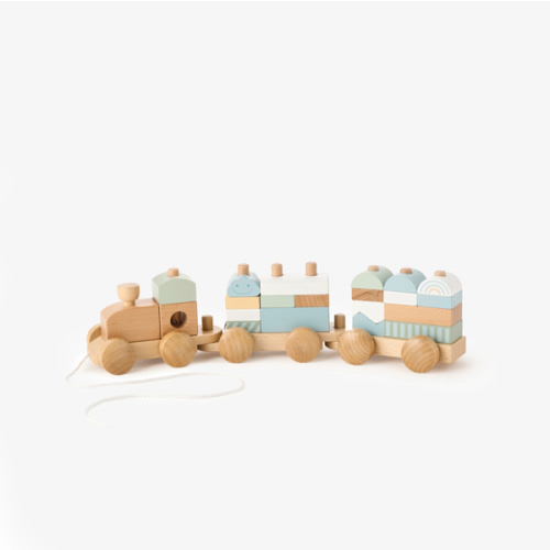 Wooden Push Toy Train