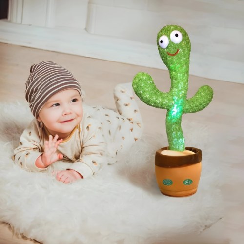 GroovyCactus – Kiddie Corner