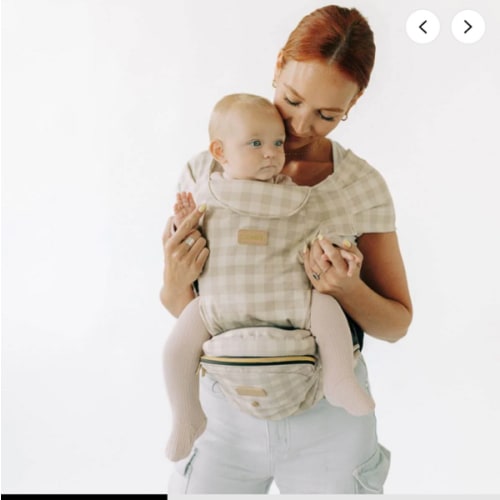 2-in-1 Convertible Carrier