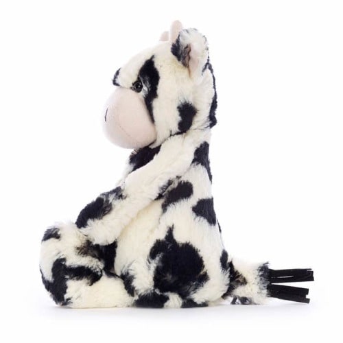 Bashful Original