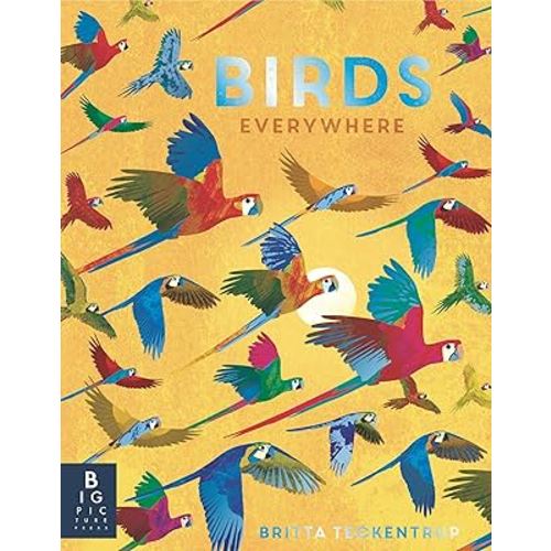 Birds Everywhere (Animals Everywhere)
