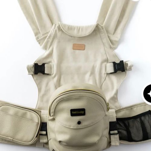 2-in-1 Convertible Carrier