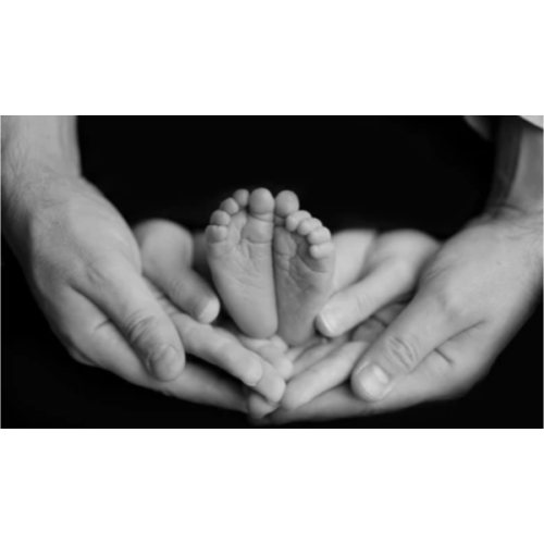 Professional Newborn cash funds