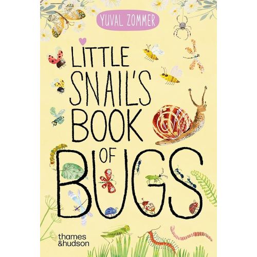 Little Snail's Book of Bugs - Board Book